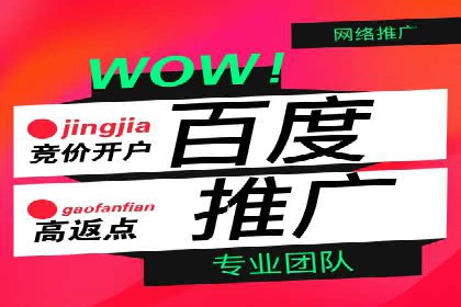 成功案例揭秘：百度推广代运营的五大优势